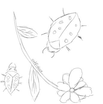 la creepies and la flower